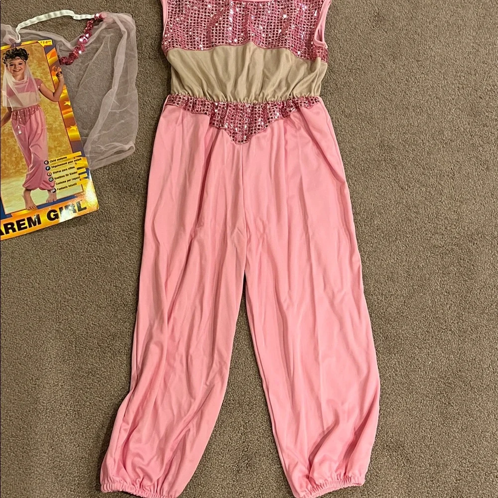 Pink Harem girl/genie costume VGUC size medium from Rubies Halloween Concepts.